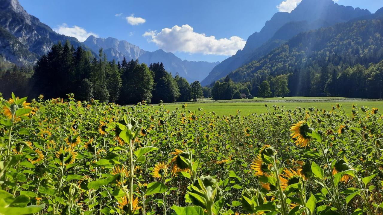House Godec - Ratece Planica