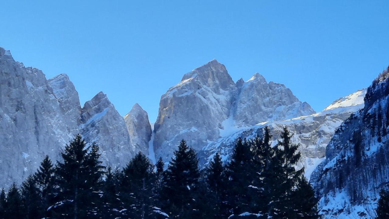Apartment House Godec - Ratece Planica *
